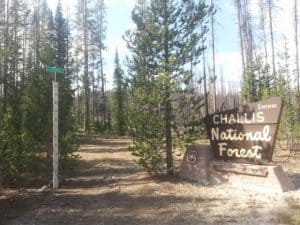 challis idaho