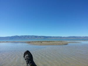 bear lake waterfront
