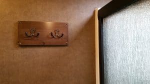 Glacier Peak F30RDS towel hooks